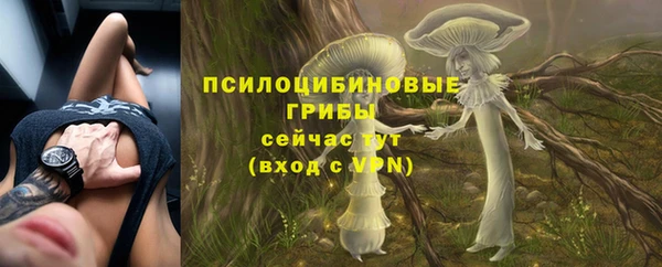эйфоретик Горно-Алтайск
