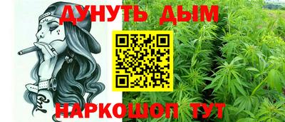 прущие крисы Гатчина