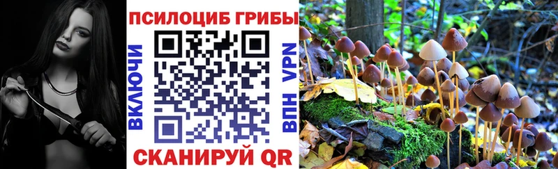Псилоцибиновые грибы GOLDEN TEACHER  Губкинский 